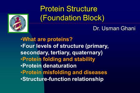 Protein Structure (Foundation Block) What are proteins? Four levels of structure (primary, secondary, tertiary, quaternary) Protein folding and stability.