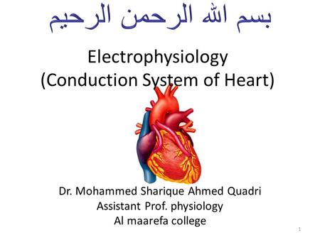 Electrophysiology (Conduction System of Heart) Dr. Mohammed Sharique Ahmed Quadri Assistant Prof. physiology Al maarefa college 1.