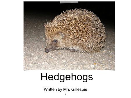 Hedgehogs 1 Written by Mrs Gillespie. 2 A hedgehog has fur on its legs and tummy and thousands of spikes on its back and sides. The spikes protect the.