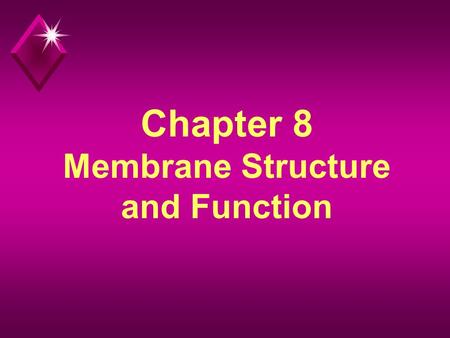 Chapter 8 Membrane Structure and Function. Plasma Membrane.