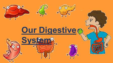 Our Digestive System. In order to ensure smooth functioning of the body, the organs of the body form various organ systems which perform specific tasks.