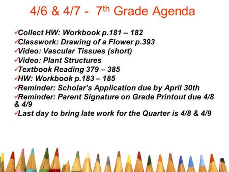 4/6 & 4/7 - 7 th Grade Agenda Collect HW: Workbook p.181 – 182 Classwork: Drawing of a Flower p.393 Video: Vascular Tissues (short) Video: Plant Structures.
