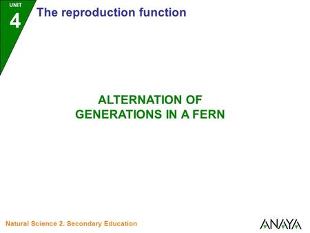 UNIT 4 The reproduction function ALTERNATION OF GENERATIONS IN A FERN Natural Science 2. Secondary Education.