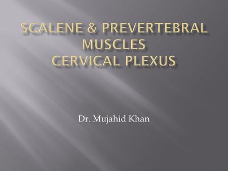 Dr. Mujahid Khan.  The scalenus anterior muscle is a key muscle in understanding the root of the neck  It is deeply placed  It descends almost vertically.