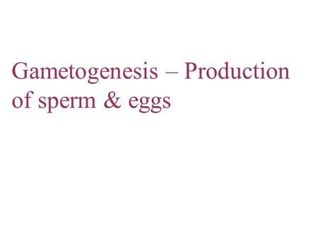 Gametogenesis – Production of sperm & eggs. Copyright © 2005 Pearson Education, Inc. publishing as Benjamin Cummings IB Assessment Statement Draw and.