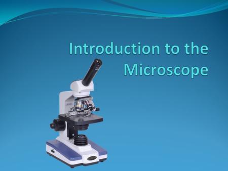 Types of Microscopes Light Microscope Stereoscope Scanning Electron Microscope Transmission Electron Microscope.