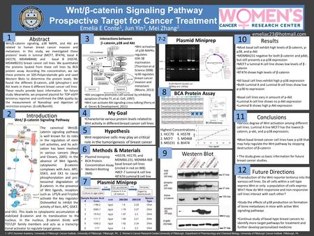 Wnt/β-catenin Signaling Pathway Prospective Target for Cancer Treatment Emelia E Conte 1, Jun Yin 2, Mei Zhang 2 Western Blot Introduction.