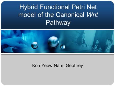 Hybrid Functional Petri Net model of the Canonical Wnt Pathway Koh Yeow Nam, Geoffrey.