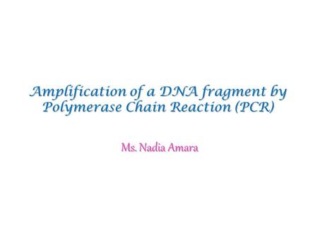 Amplification of a DNA fragment by Polymerase Chain Reaction (PCR) Ms. Nadia Amara.