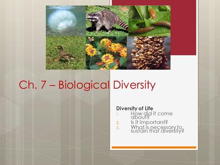 Ch. 7 – Biological Diversity Diversity of Life 1. How did it come about? 2. Is it important? 3. What is necessary to sustain that diversity?