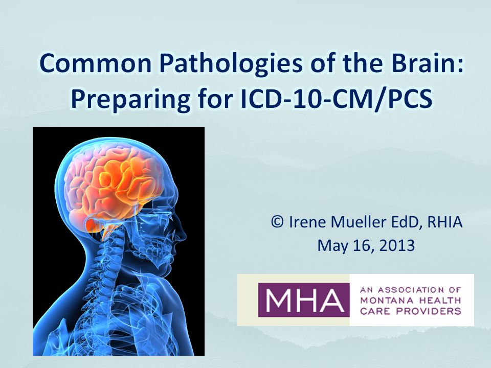 Common Pathologies Of The Brain Preparing For Icd 10 Cm Pcs Ppt Download
