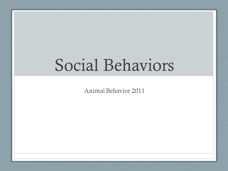 Social Behaviors Animal Behavior ppt video online download