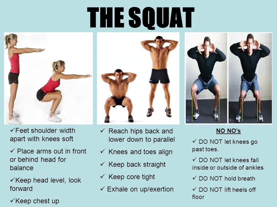 THE SQUAT Feet shoulder width apart with knees soft Place arms out in front  or behind head for balance Keep head level, look forward Keep chest up NO  NO's. - ppt download