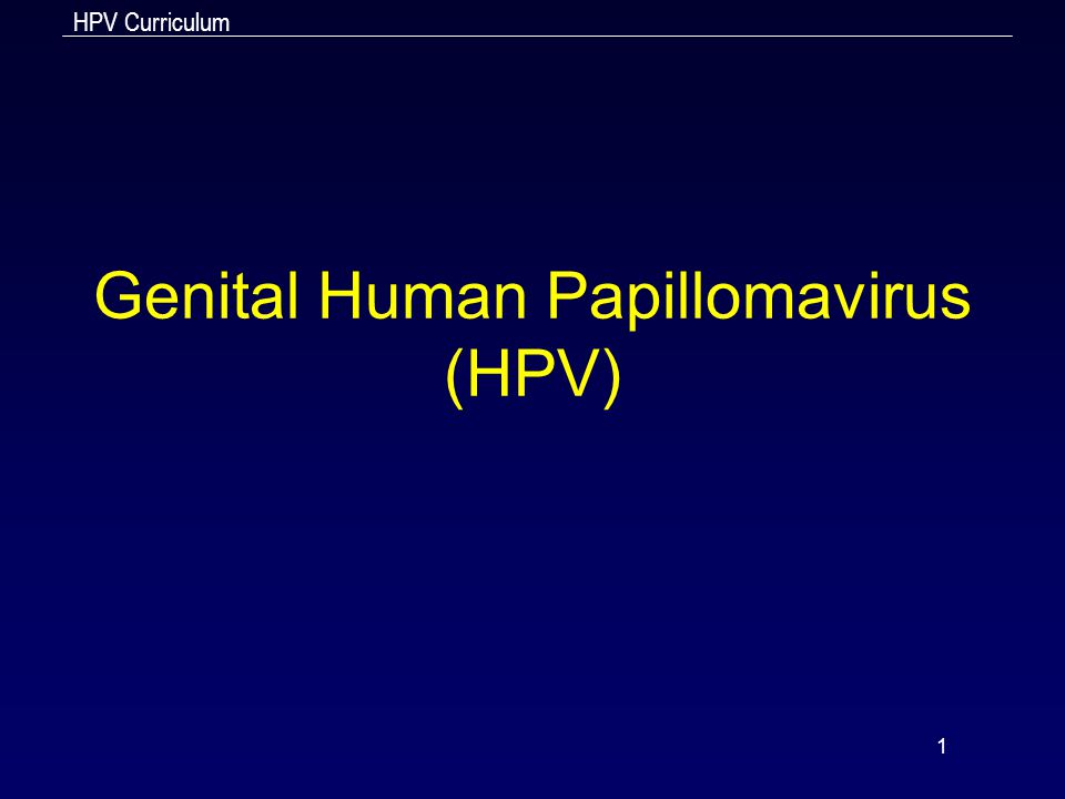 genital human papilloma virus)
