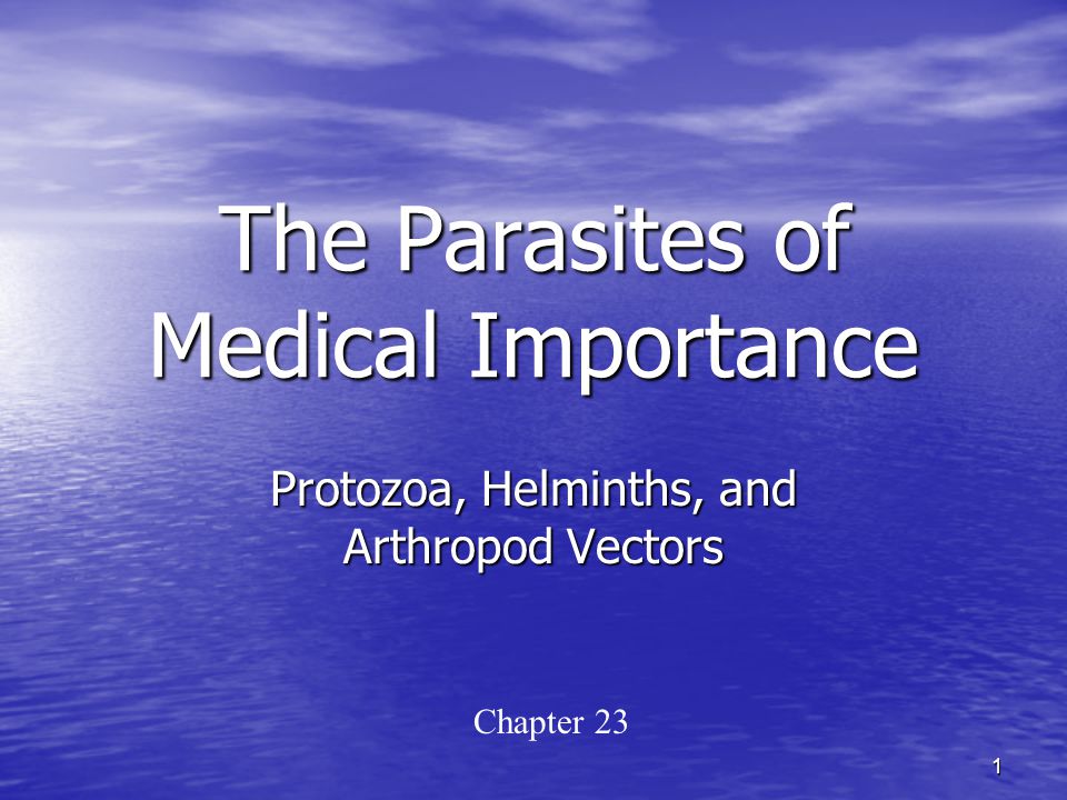 parazitele protozoare ppt