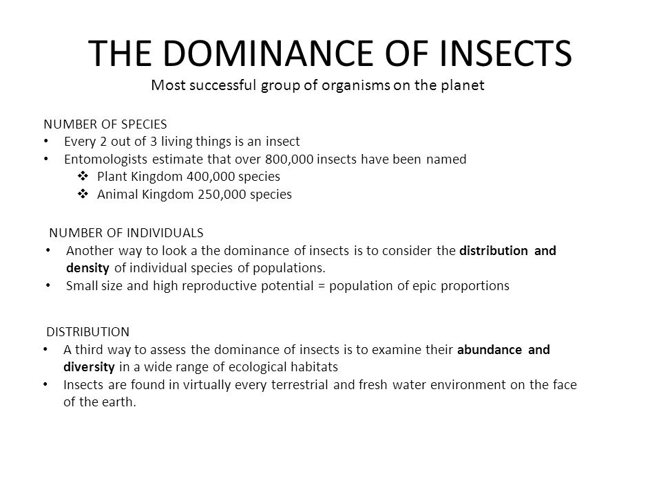 Most successful group of organisms on the planet NUMBER OF SPECIES Every 2  out of 3 living things is an insect Entomologists estimate that over 800,  ppt download