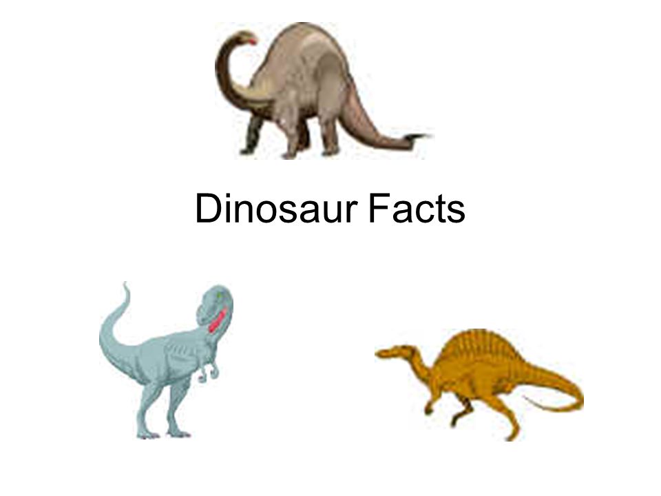 Dinosaur, Definition, Types, Pictures, Videos, & Facts