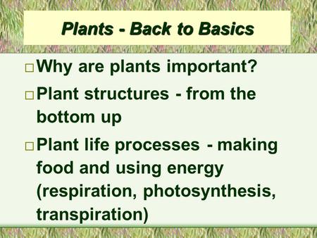 Plants - Back to Basics ¨ Why are plants important? ¨ Plant structures - from the bottom up ¨ Plant life processes - making food and using energy (respiration,