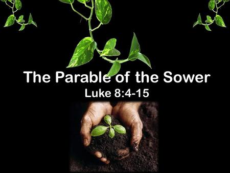 The Parable of the Sower Luke 8:4-15. 4 One day Jesus told a story in the form of a parable to a large crowd that had gathered from many towns to hear.