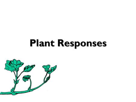 Plant Responses.