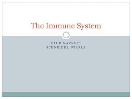 KAUR NAVNEET SCHNEIDER STARLA The Immune System. Overview: Reconnaissance, Recognition, and Response Immune system: a system that enables animals to avoid/limit.