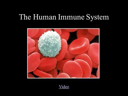 The Human Immune System Video. What is the immune system? The body’s defense against disease causing organisms, malfunctioning cells, and foreign particles.