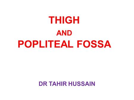 THIGH AND POPLITEAL FOSSA DR TAHIR HUSSAIN. OBJECTIVES Study the arrangement of the muscles of each compartment of the thigh and give their actions and.