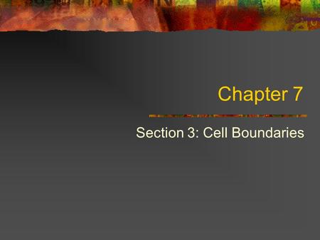 Chapter 7 Section 3: Cell Boundaries. ADD IODINE UNTIL THE SOLUTION TURNS YELLOW !!!!!!!!!!!!!!!!!!!