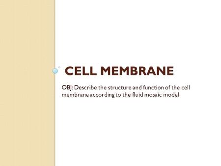 CELL MEMBRANE OBJ: Describe the structure and function of the cell membrane according to the fluid mosaic model.