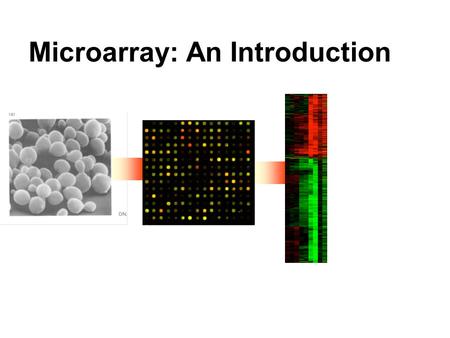 Microarray: An Introduction