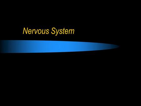 Nervous System. Responds to stimuli to maintain homeostasis. Stimulus (Stimuli) = a signal to which an organism reacts Response = some action or movement.