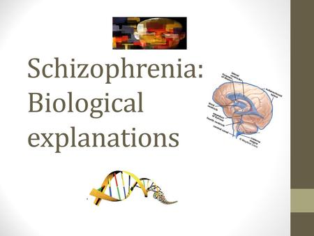 Schizophrenia: Biological explanations. Overview Genetic hypothesis Biochemical factors Neuroanatomical factors Prenatal exposure to virus.