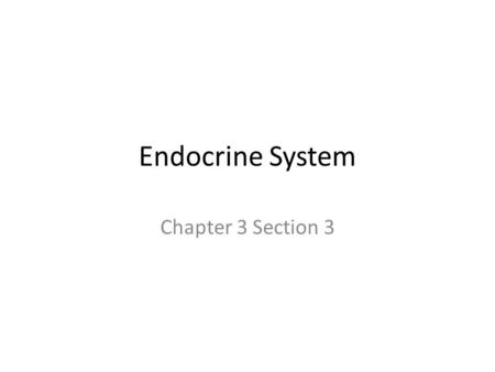 Endocrine System Chapter 3 Section 3. Endocrine System Consists of gland that secrete substance, hormones, into the bloodstream. Hormones stimulate growth.