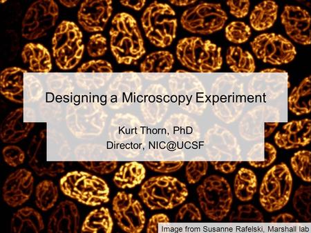 Designing a Microscopy Experiment Kurt Thorn, PhD Director, Image from Susanne Rafelski, Marshall lab.