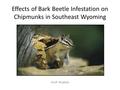 Effects of Bark Beetle Infestation on Chipmunks in Southeast Wyoming Andi Noakes.