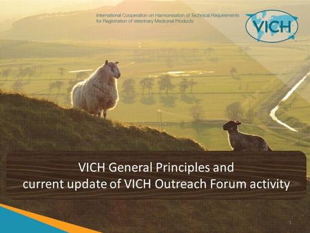 VICH General Principles and current update of VICH Outreach Forum activity 1.