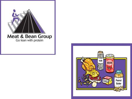 Meat & Bean Group Different foods from the meat group are good sources of protein B-vitamins (thiamin, riboflavin, niacin, B6, B12, folacin, and biotin)