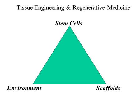 EnvironmentScaffolds Stem Cells Tissue Engineering & Regenerative Medicine.