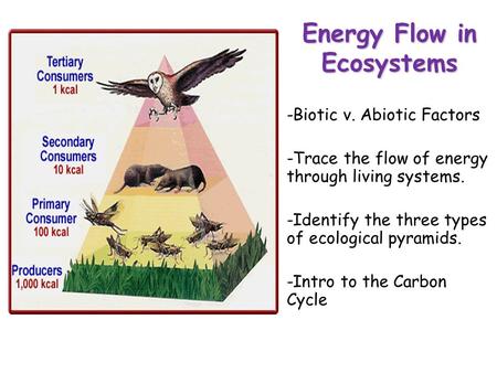 Lesson Overview Lesson Overview Energy Flow in Ecosystems -Biotic v. Abiotic Factors -Trace the flow of energy through living systems. -Identify the three.