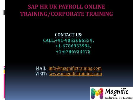 SAP HR UK PAYROLL ONLINE TRAINING/CORPORATE TRAINING.