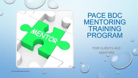 PACE BDC MENTORING TRAINING PROGRAM FOR CLIENTS AND MENTORS PACE All Rights Reserved 2016 1.
