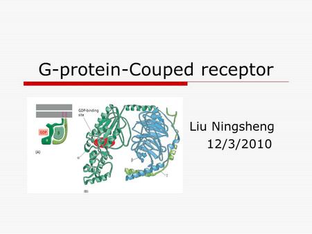 G-protein-Couped receptor Liu Ningsheng 12/3/2010.