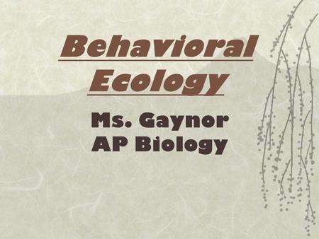 Behavioral Ecology Ms. Gaynor AP Biology.  Social behavior = the interaction among members of a population  Behavioral biology = study of what animals.