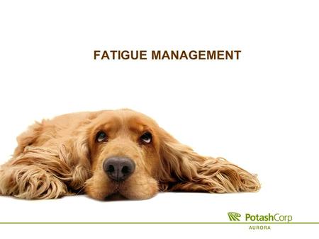 FATIGUE MANAGEMENT. What is Fatigue? A state of physical or mental weariness that results in reduced alertness The result of a lack of adequate sleep.