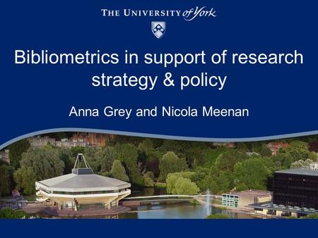 Bibliometrics in support of research strategy & policy Anna Grey and Nicola Meenan.