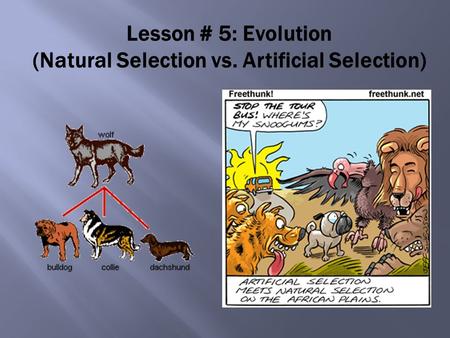 Lesson # 5: Evolution (Natural Selection vs. Artificial Selection)