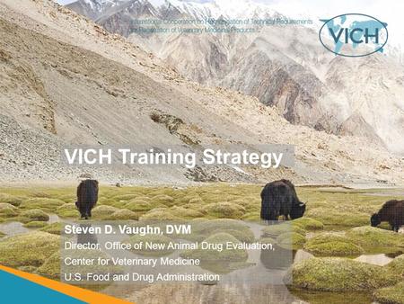 VICH Training Strategy Steven D. Vaughn, DVM Director, Office of New Animal Drug Evaluation, Center for Veterinary Medicine U.S. Food and Drug Administration.