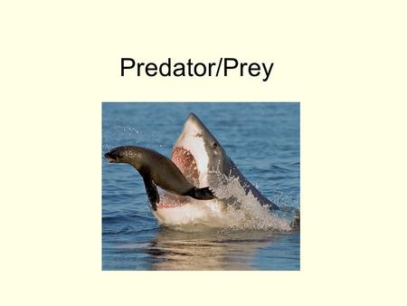 Predator/Prey. Two big themes: 1.Predators can limit prey populations. This keeps populations below K.