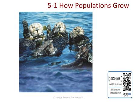 Copyright Pearson Prentice Hall 5-1 How Populations Grow.