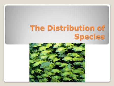 The Distribution of Species. How are organisms distributed in these biomes? Why are organisms found in some biomes but not others? The answer to these.